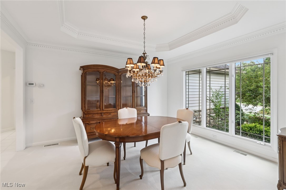 39780 Alsace Court Solon OH 44139