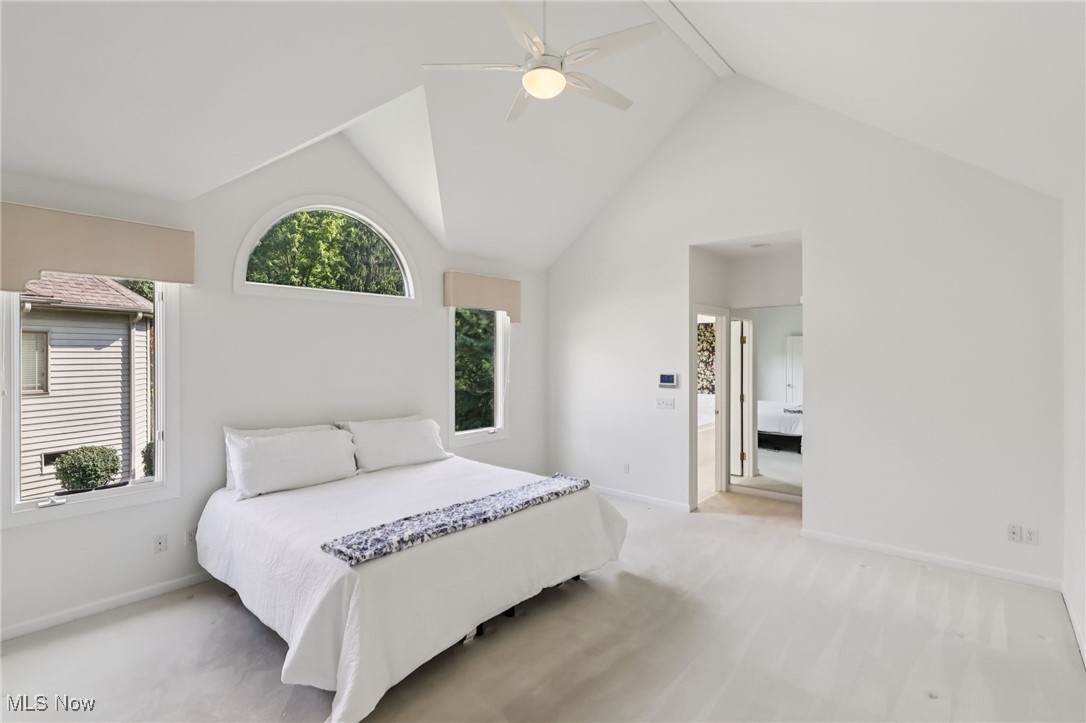 39780 Alsace Court Solon OH 44139