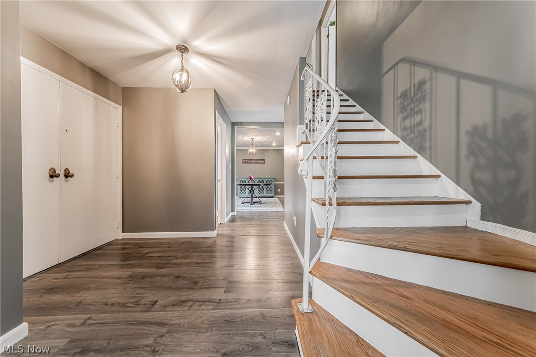 1622 Seven Oaks Drive Lyndhurst OH 44124