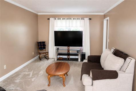 5887 Boxwood Drive Lorain OH 44053