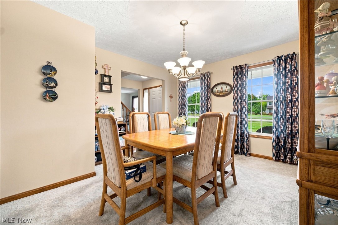 5303 Deercreek Court Sheffield OH 44054