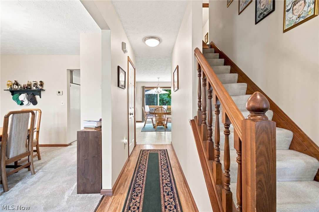 5303 Deercreek Court Sheffield OH 44054