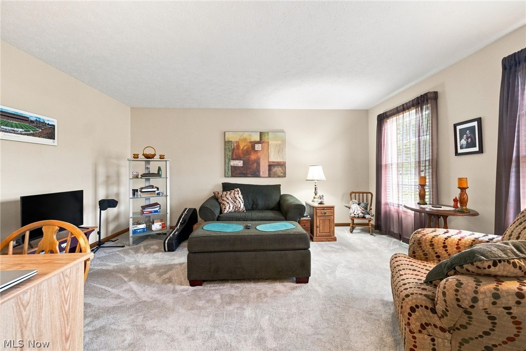5303 Deercreek Court Sheffield OH 44054