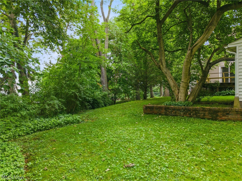 1151 Juniper Avenue Akron OH 44310