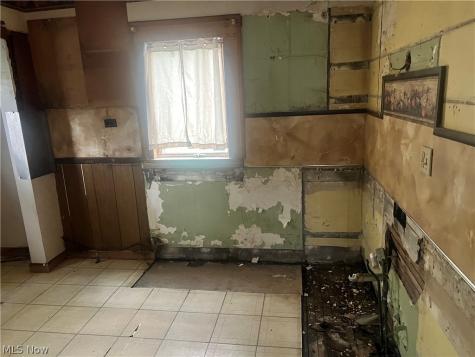 987 E 129th Street Cleveland OH 44108