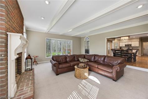 7663 Herrick Park Drive Hudson OH 44236