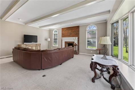 7663 Herrick Park Drive Hudson OH 44236