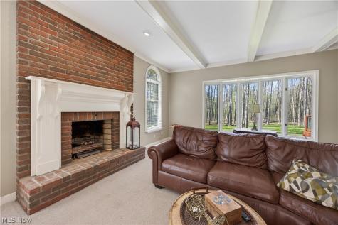 7663 Herrick Park Drive Hudson OH 44236