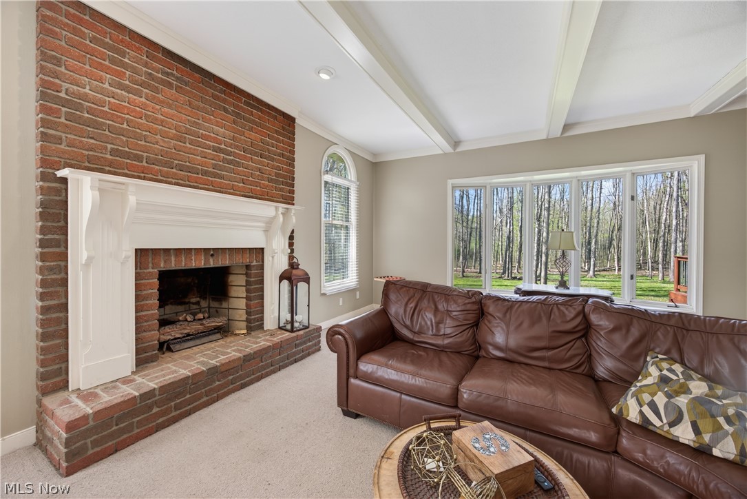 7663 Herrick Park Drive Hudson OH 44236