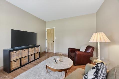 7663 Herrick Park Drive Hudson OH 44236