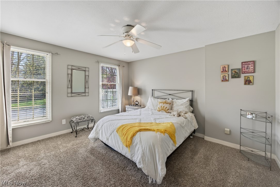 7663 Herrick Park Drive Hudson OH 44236