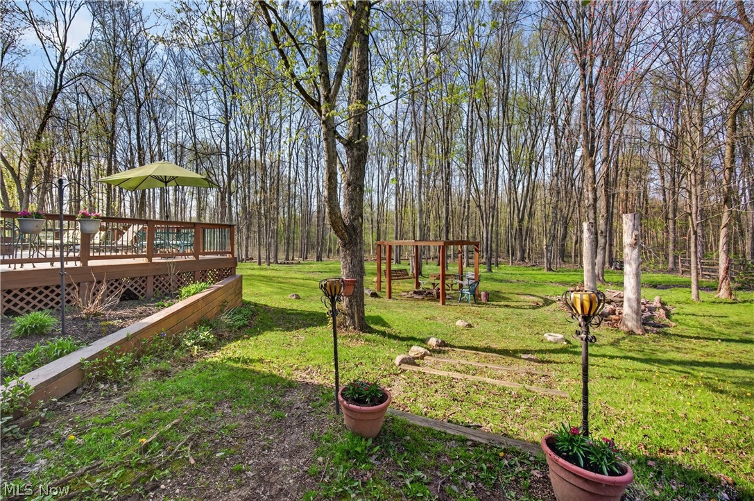 7663 Herrick Park Drive Hudson OH 44236