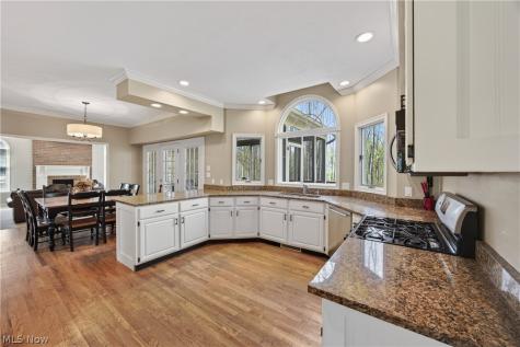 7663 Herrick Park Drive Hudson OH 44236