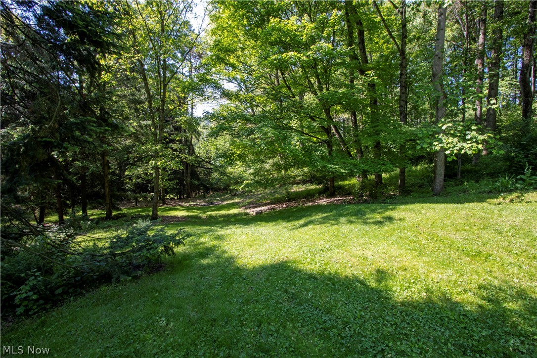 16062 State Route 39 Loudonville OH 44842