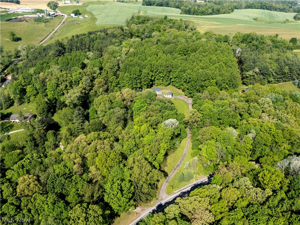 16062 State Route 39 Loudonville OH 44842