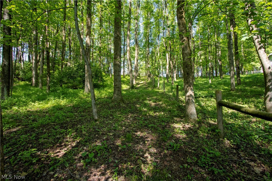 16062 State Route 39 Loudonville OH 44842