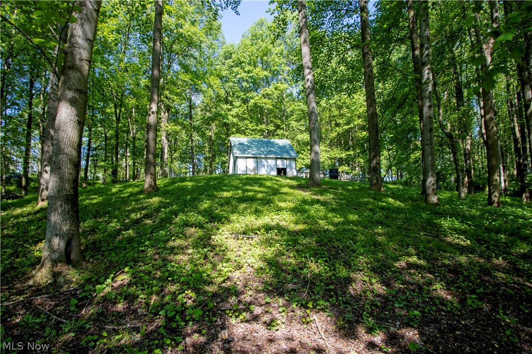16062 State Route 39 Loudonville OH 44842