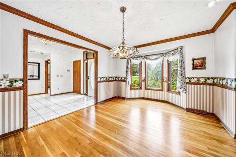 10160 Hobby Horse Lane Mentor OH 44060