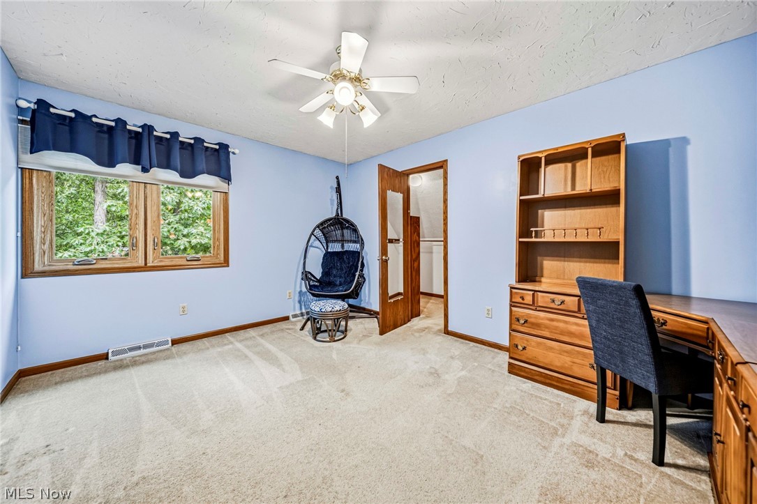 10160 Hobby Horse Lane Mentor OH 44060