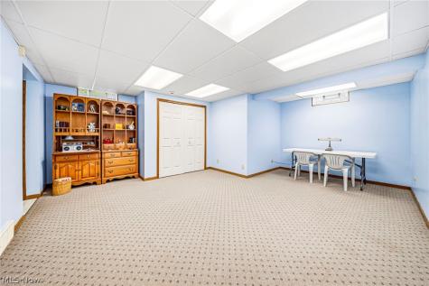 10160 Hobby Horse Lane Mentor OH 44060