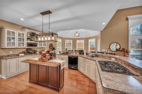 8933 Mountain View Drive Mentor OH 44060
