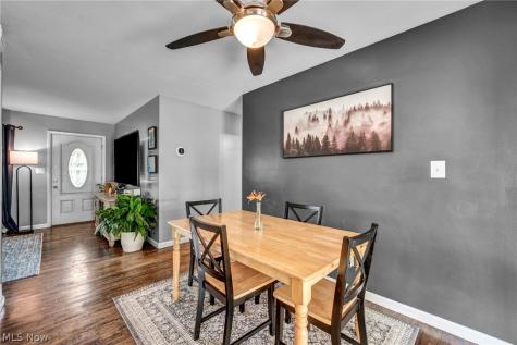 1295 Cherry Lane Brunswick OH 44212