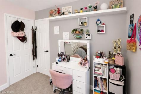 14035 Allison Drive Doylestown OH 44230