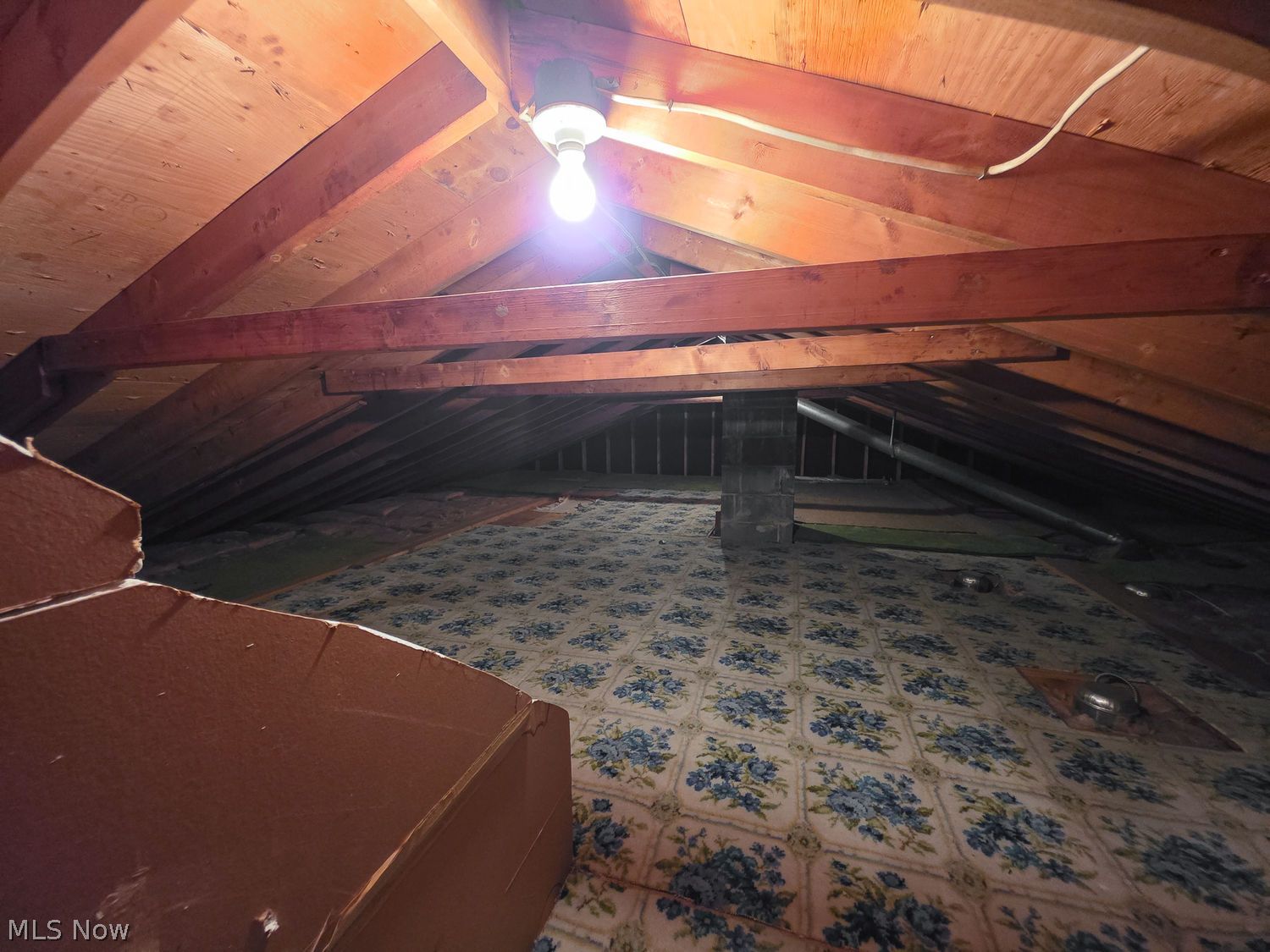1737 Gladwin Drive Mayfield Heights OH 44124