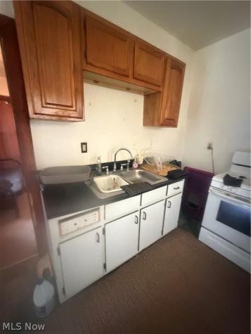 4103 E 113th Street Cleveland OH 44105