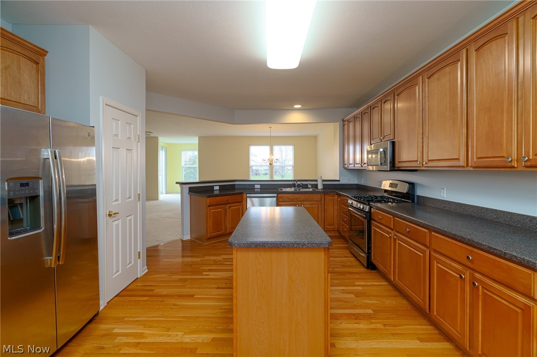 9119 Chatham Circle North Ridgeville OH 44039