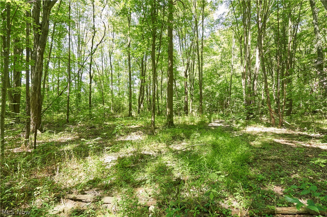 3265 Ridgewood Road Fairlawn OH 44333