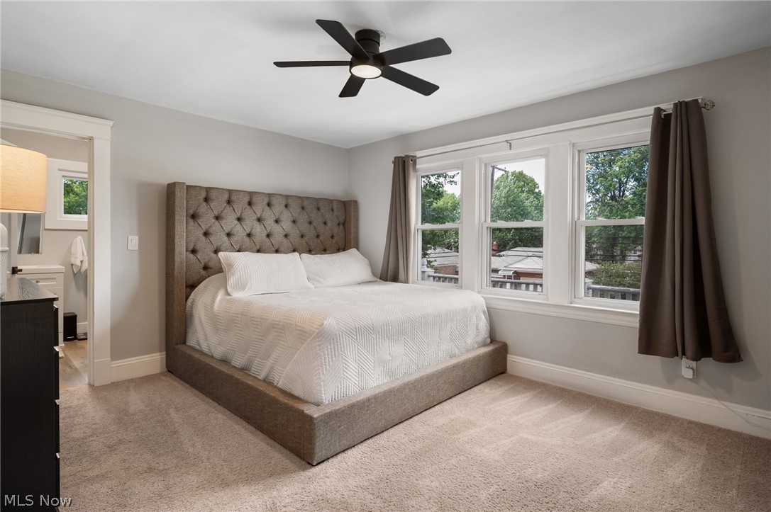 26230 Elinore Avenue Euclid OH 44132