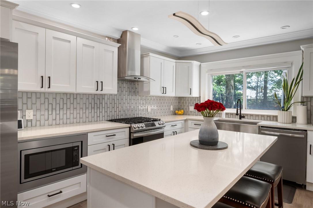 26230 Elinore Avenue Euclid OH 44132