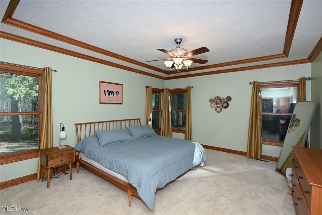 679 Deep Woods Drive Aurora OH 44202