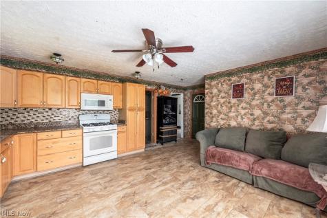 672 Jackson Street Amherst OH 44001