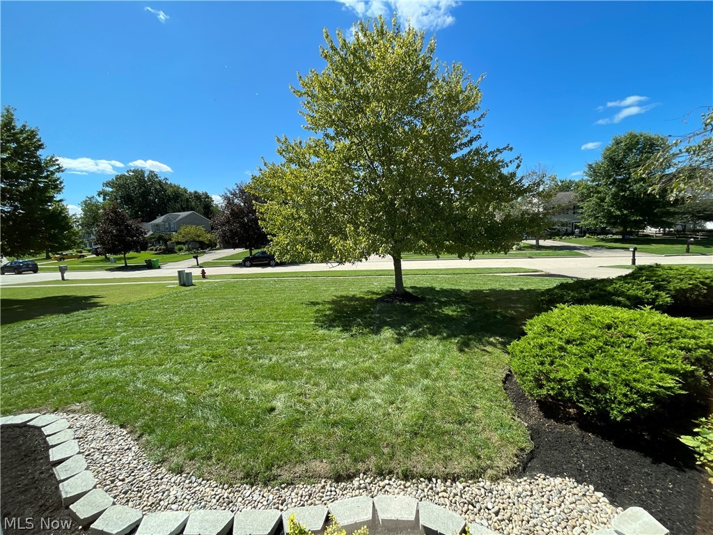 4081 Sacramento Boulevard Medina OH 44256