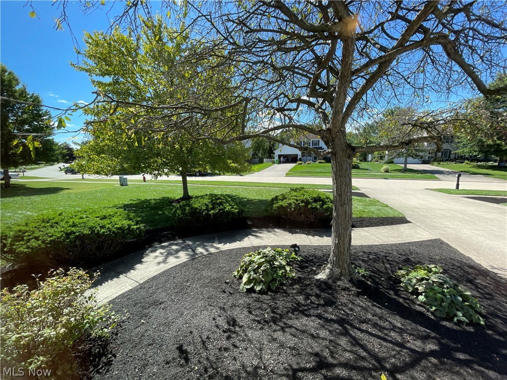 4081 Sacramento Boulevard Medina OH 44256