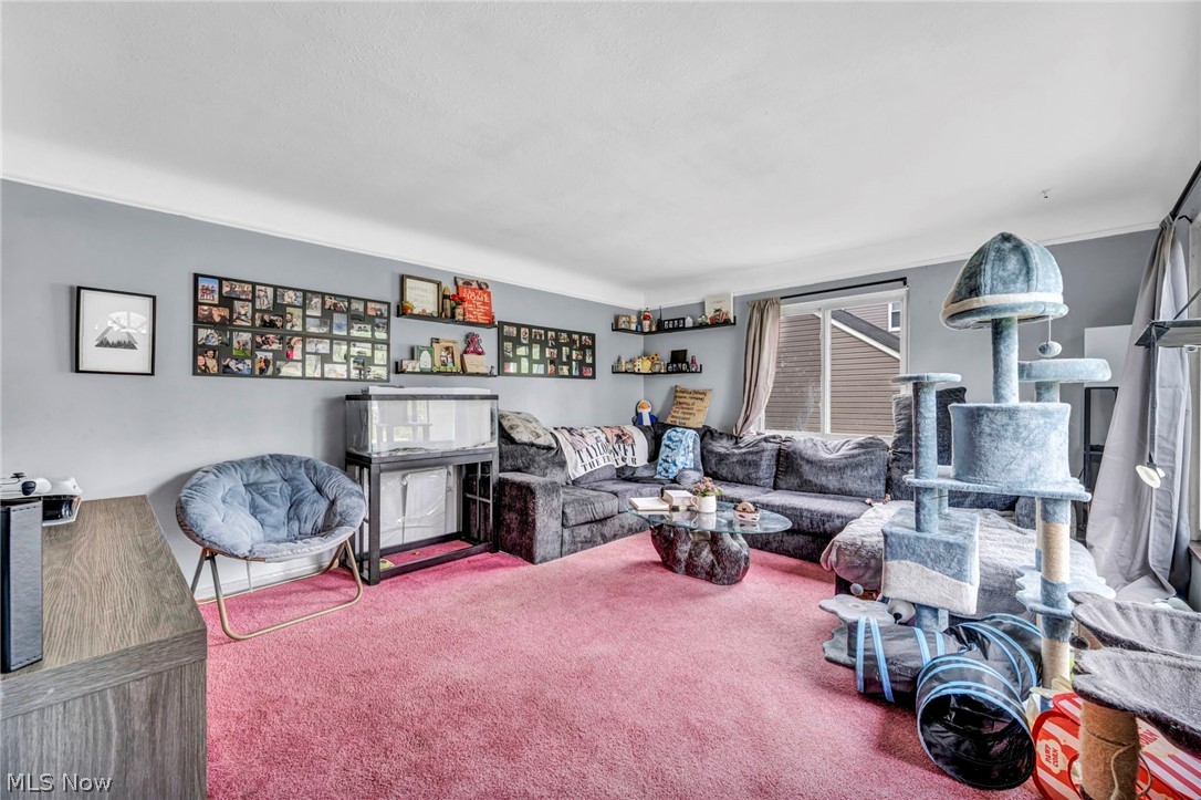 6294 Alexandria Drive Parma Heights OH 44130