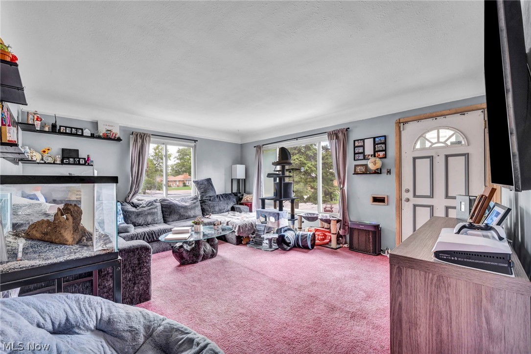 6294 Alexandria Drive Parma Heights OH 44130