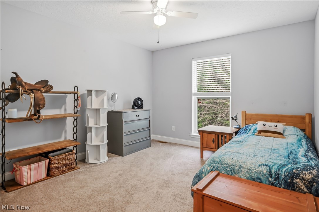 540 Terra Verde Avenue Columbiana OH 44408