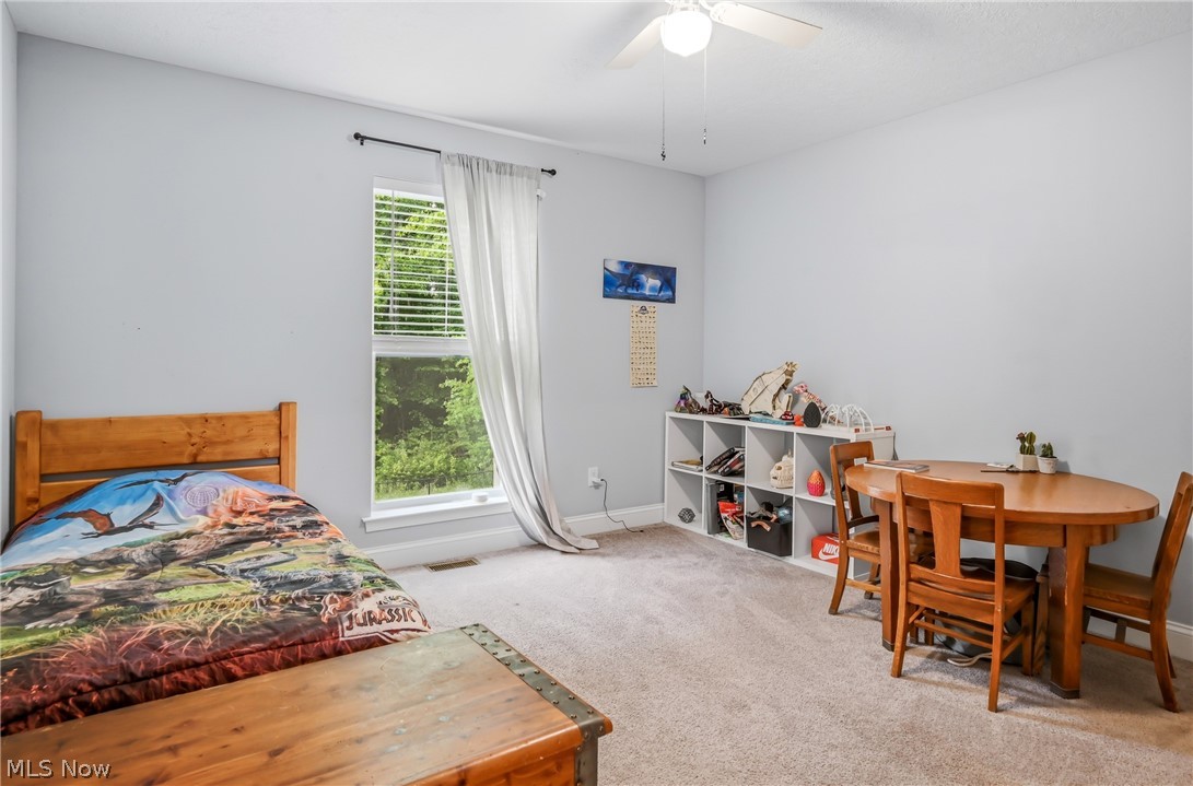 540 Terra Verde Avenue Columbiana OH 44408