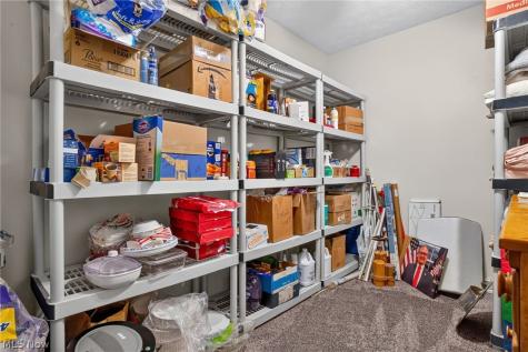 6601 Vrooman Road Painesville OH 44077