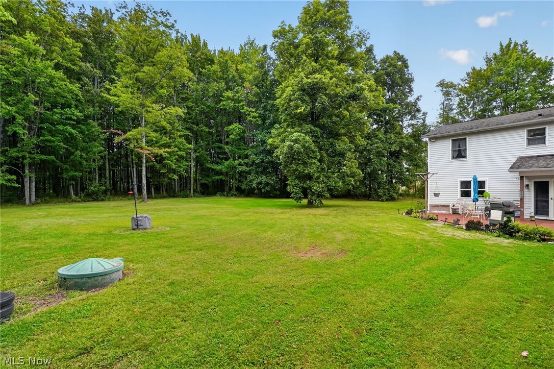 6601 Vrooman Road Painesville OH 44077