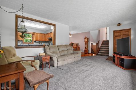 6601 Vrooman Road Painesville OH 44077