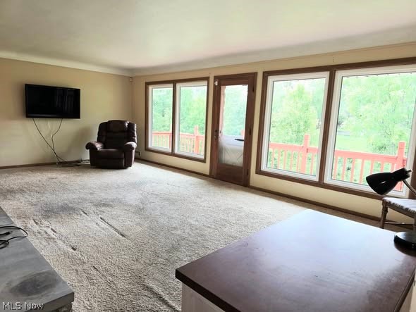 7623 Alan Parkway Middleburg Heights OH 44130