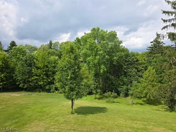 7623 Alan Parkway Middleburg Heights OH 44130