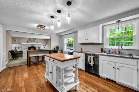 16561 N White Oaks Drive Strongsville OH 44136