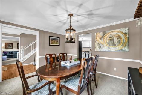 16561 N White Oaks Drive Strongsville OH 44136