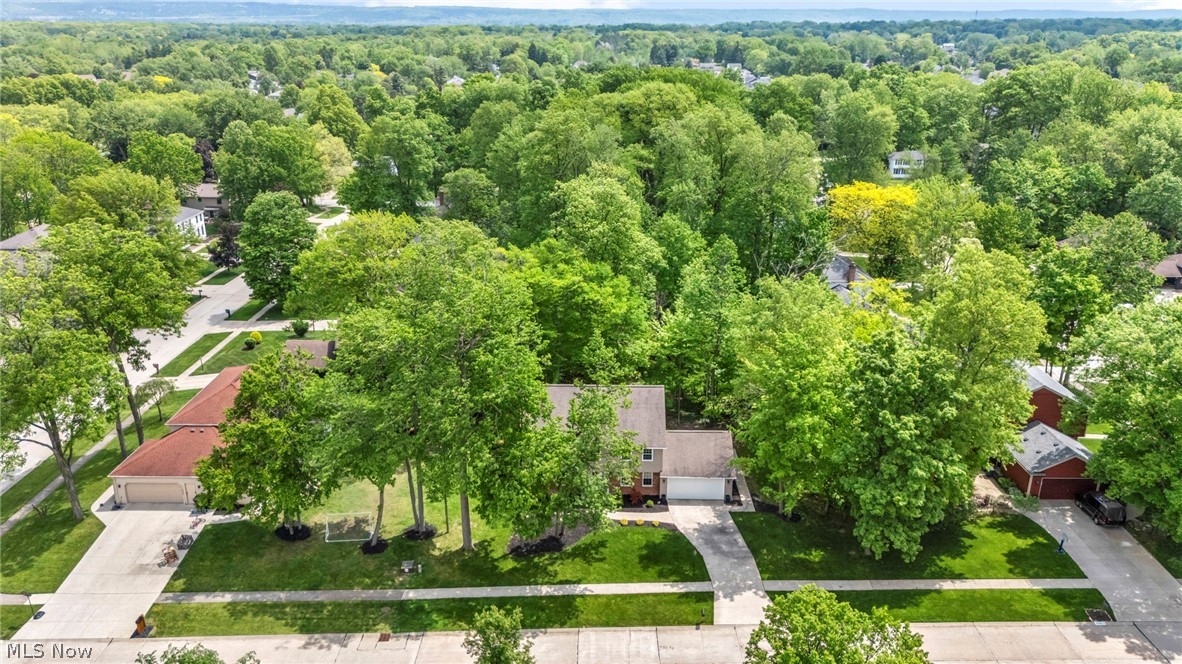16561 N White Oaks Drive Strongsville OH 44136