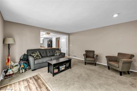 16561 N White Oaks Drive Strongsville OH 44136